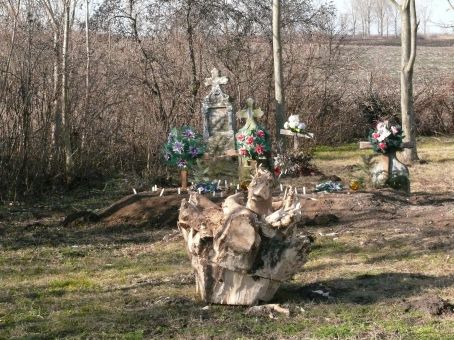 View larger image View larger image