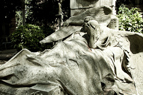 View larger image View larger image