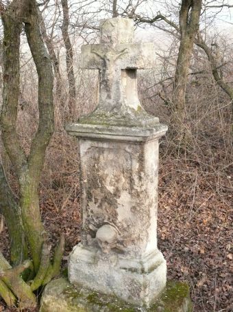 View larger image View larger image