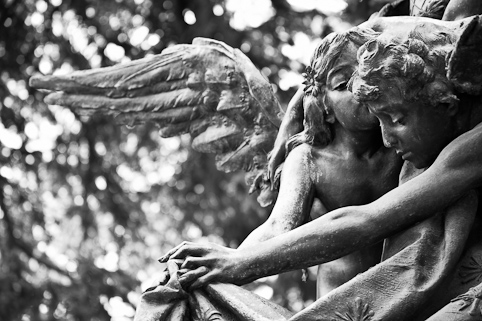 View larger image View larger image