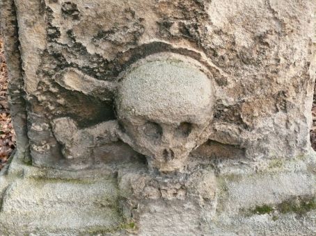 View larger image View larger image