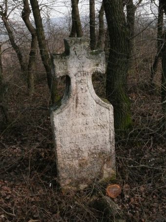 View larger image View larger image