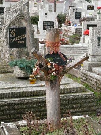 View larger image View larger image