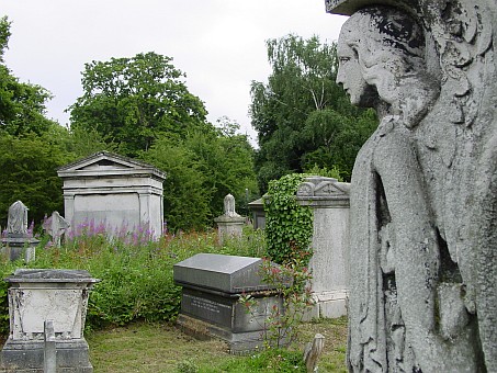 View larger image View larger image