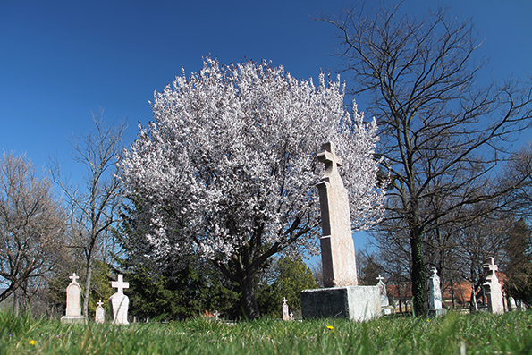 View larger image View larger image