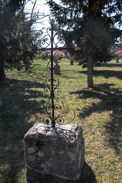 View larger image View larger image