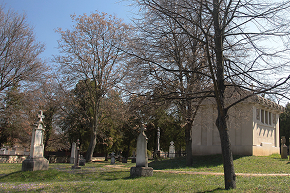 View larger image View larger image