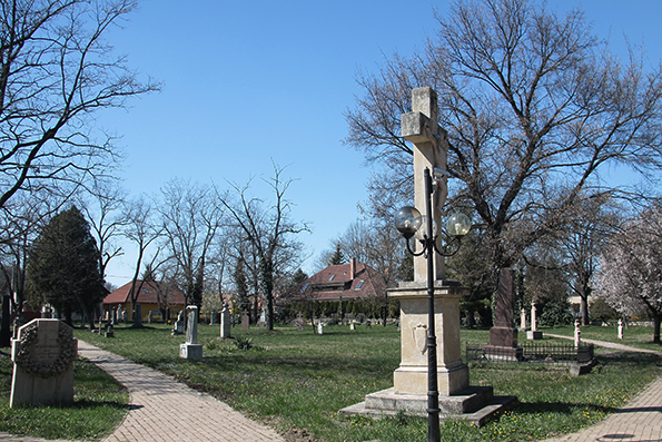 View larger image View larger image