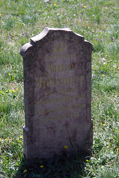 View larger image View larger image