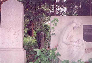 View larger image View larger image