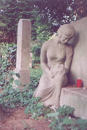 View larger image View larger image