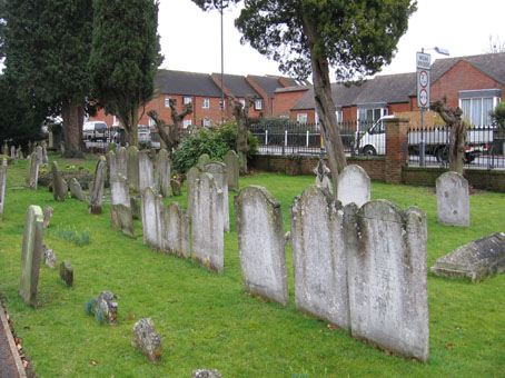 View larger image View larger image