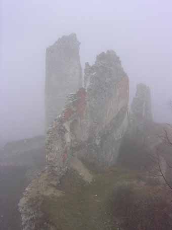 View larger image View larger image