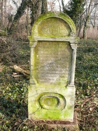 View larger image View larger image