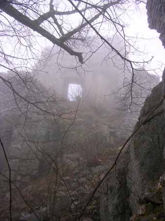 View larger image View larger image