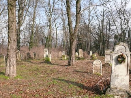 View larger image View larger image