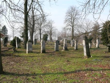 View larger image View larger image