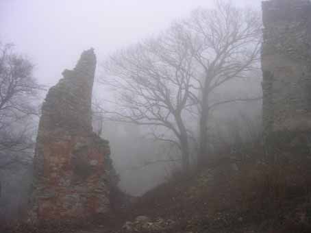 View larger image View larger image