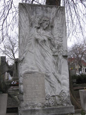 View larger image View larger image