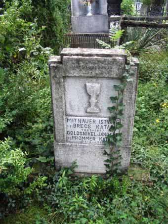 View larger image View larger image