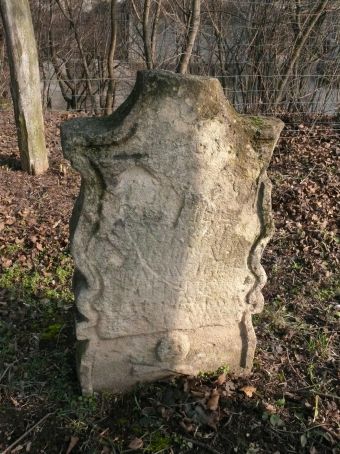 View larger image View larger image