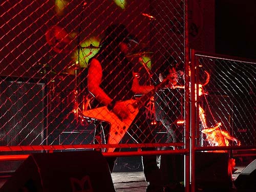 View larger image View larger image