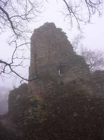 View larger image View larger image