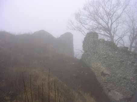 View larger image View larger image