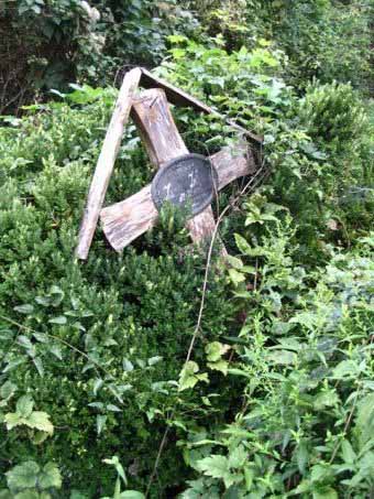 View larger image View larger image