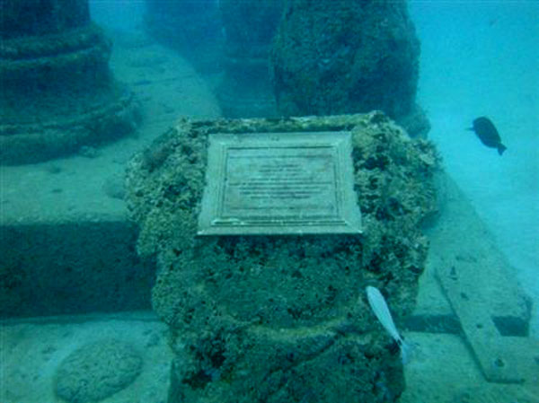 View larger image View larger image