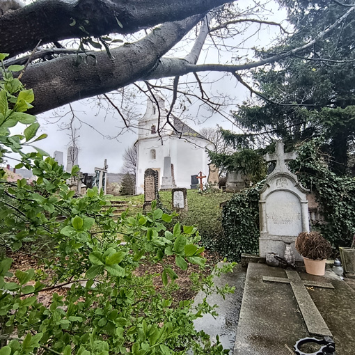 View larger image View larger image