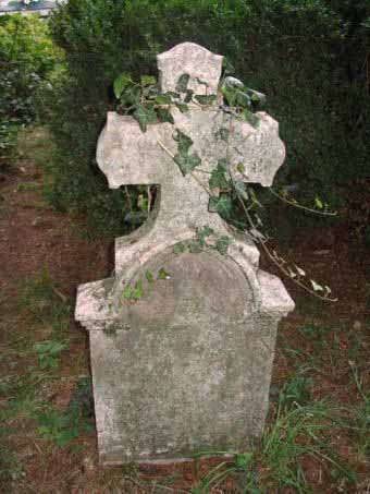 View larger image View larger image