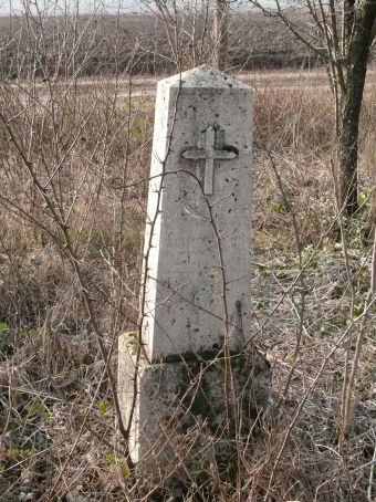 View larger image View larger image