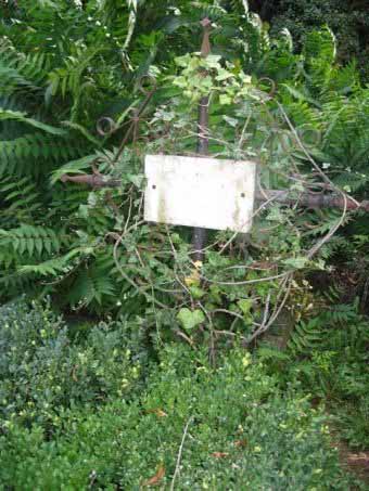 View larger image View larger image