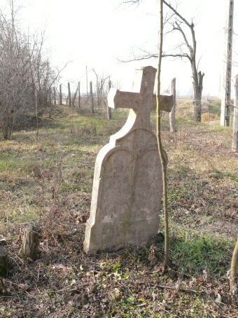 View larger image View larger image