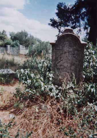 View larger image View larger image