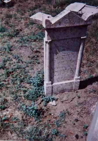 View larger image View larger image