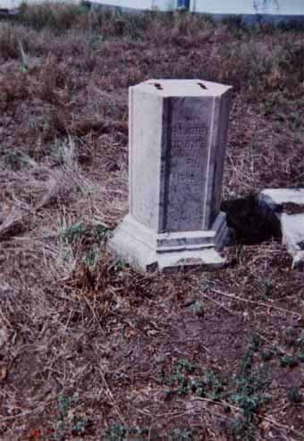 View larger image View larger image