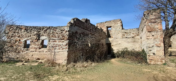 View larger image View larger image