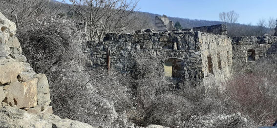 View larger image View larger image