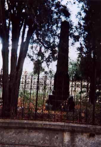 View larger image View larger image