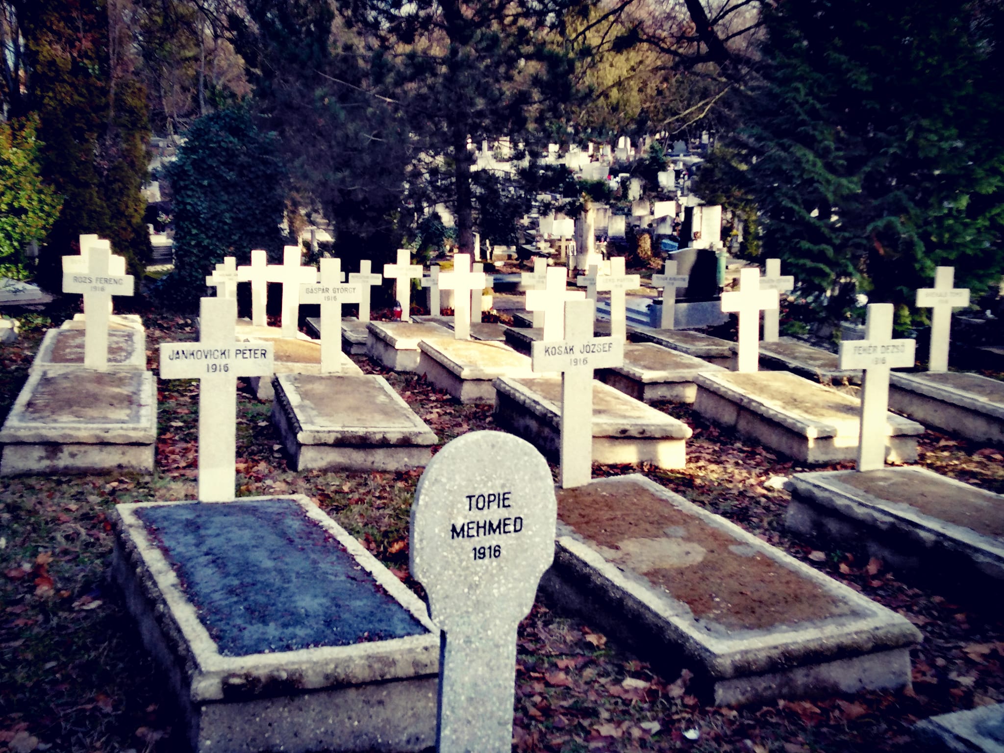 View larger image View larger image