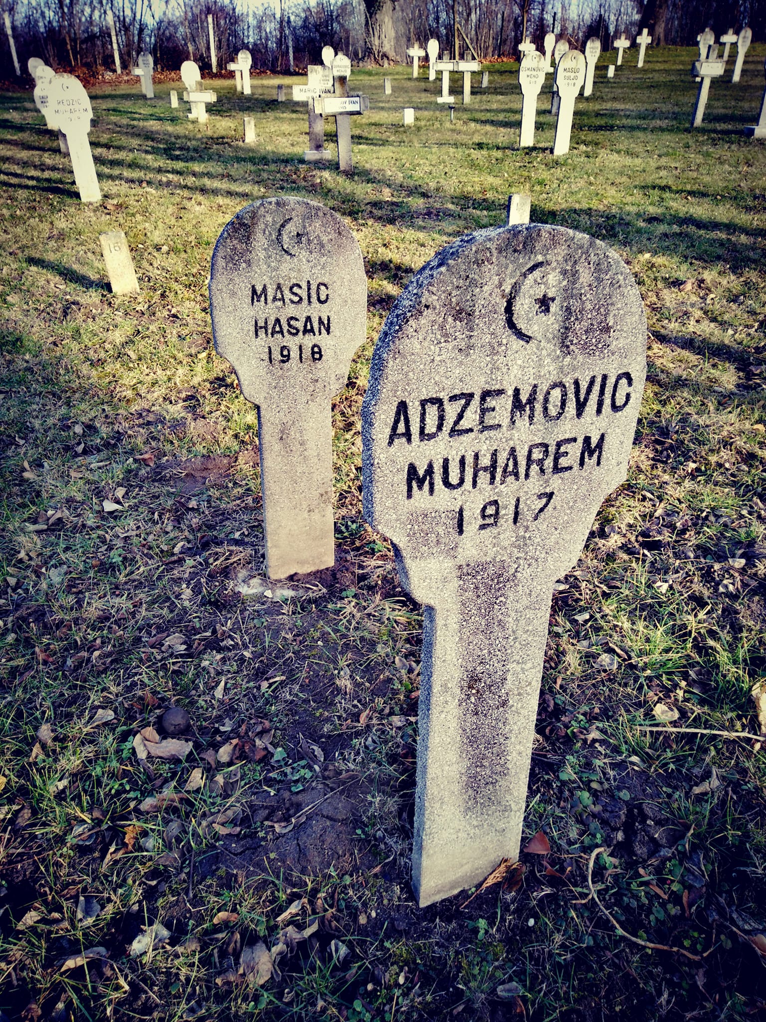 View larger image View larger image