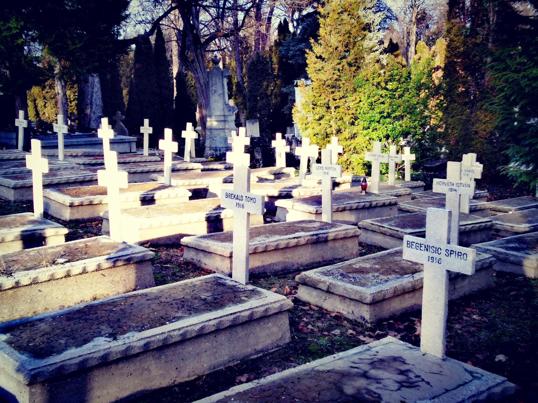 View larger image View larger image