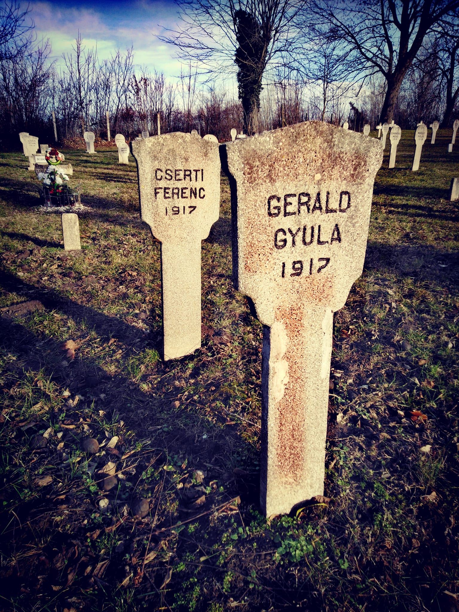 View larger image View larger image