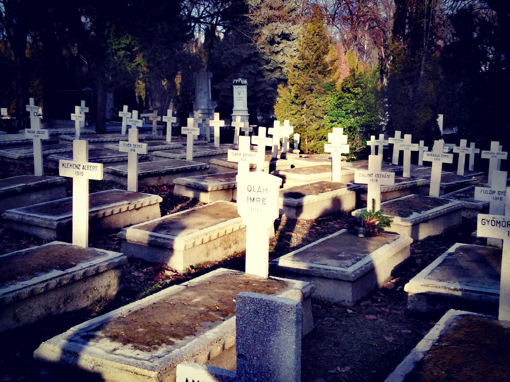 View larger image View larger image