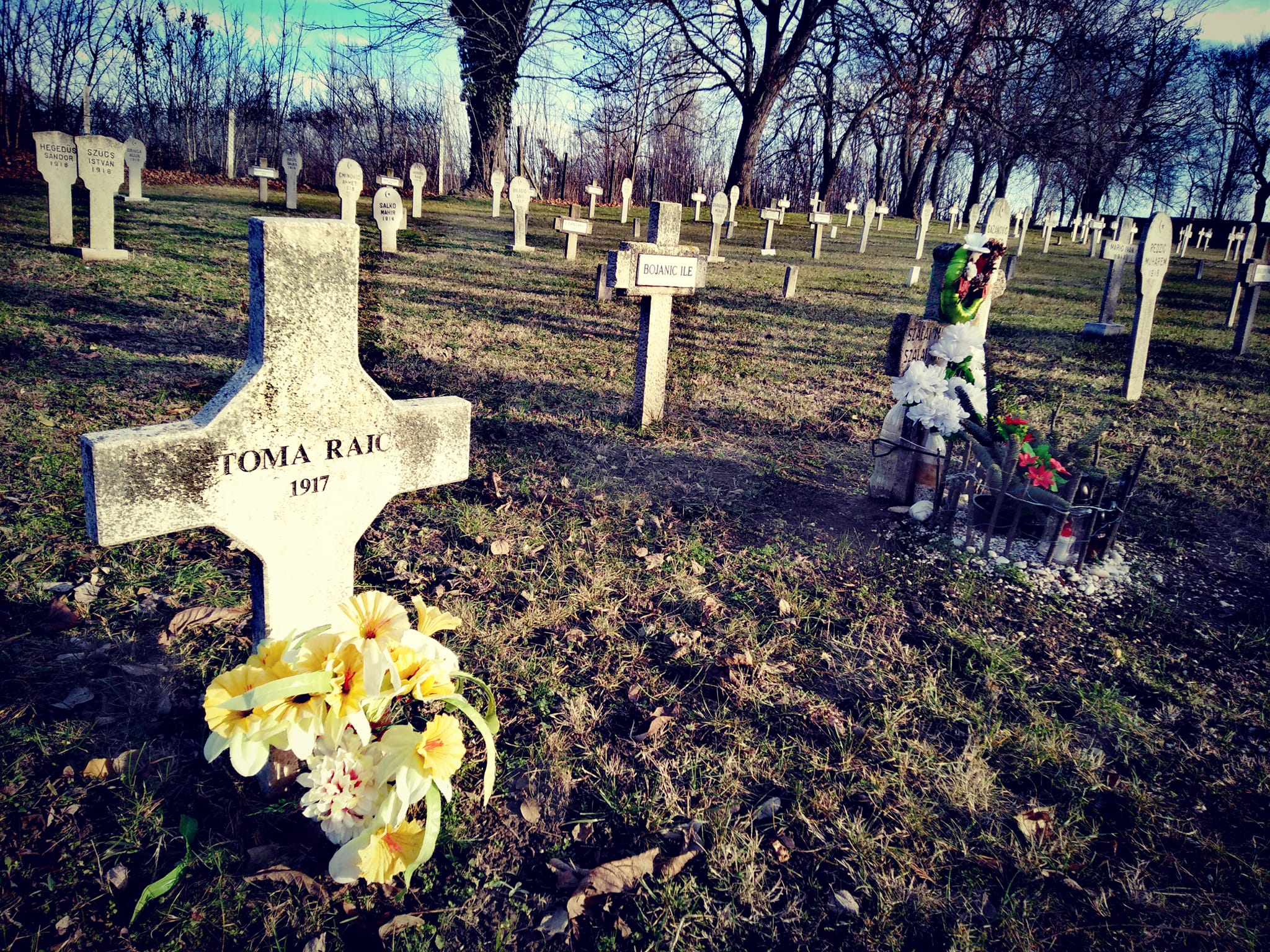 View larger image View larger image