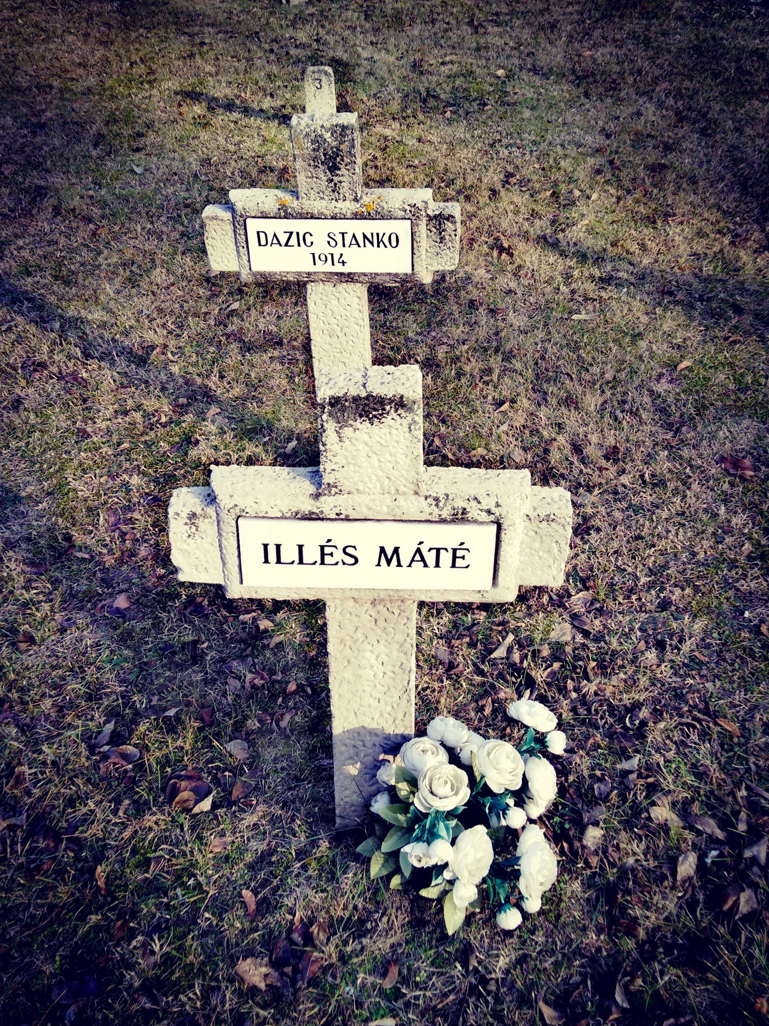 View larger image View larger image