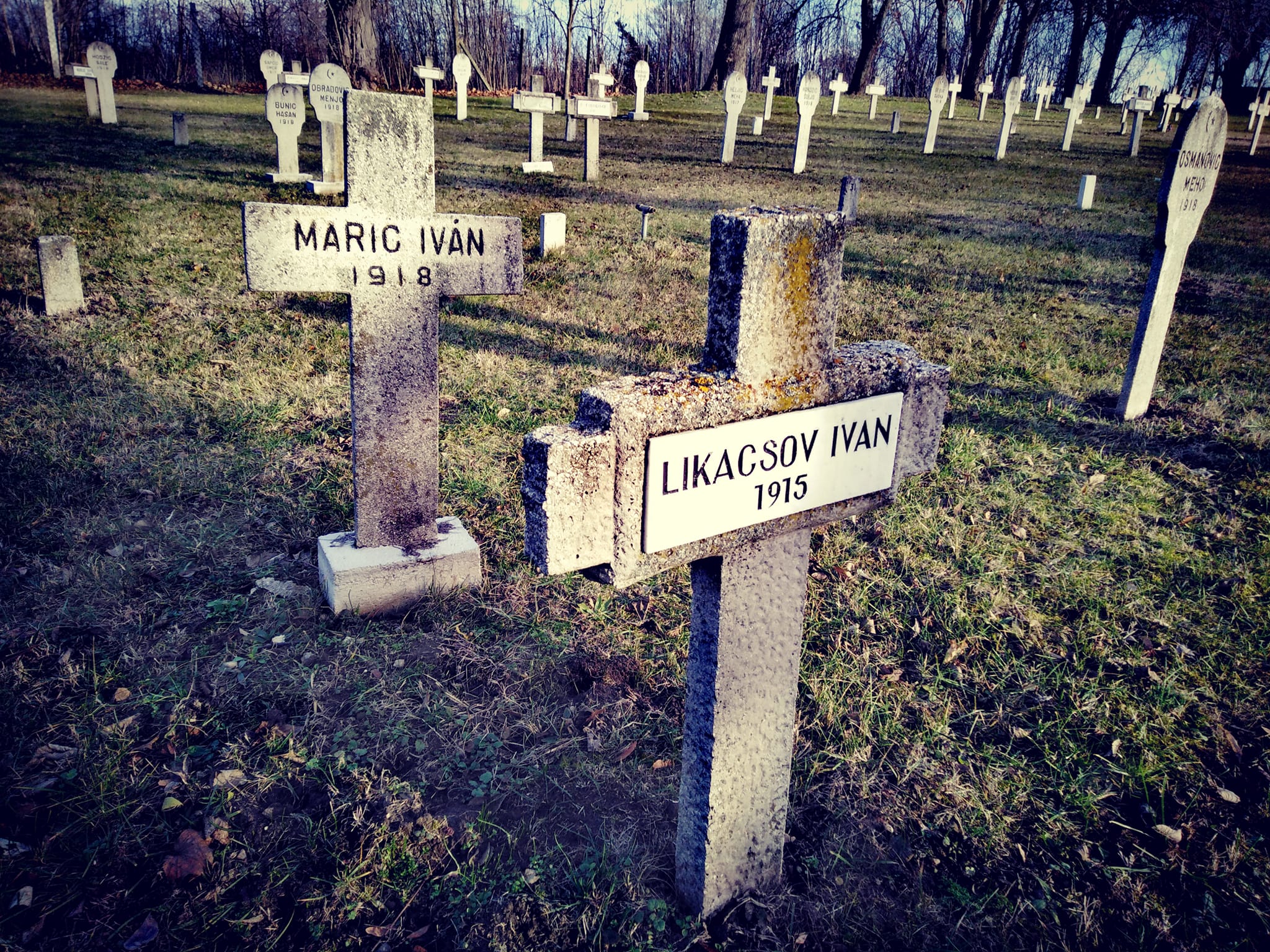 View larger image View larger image