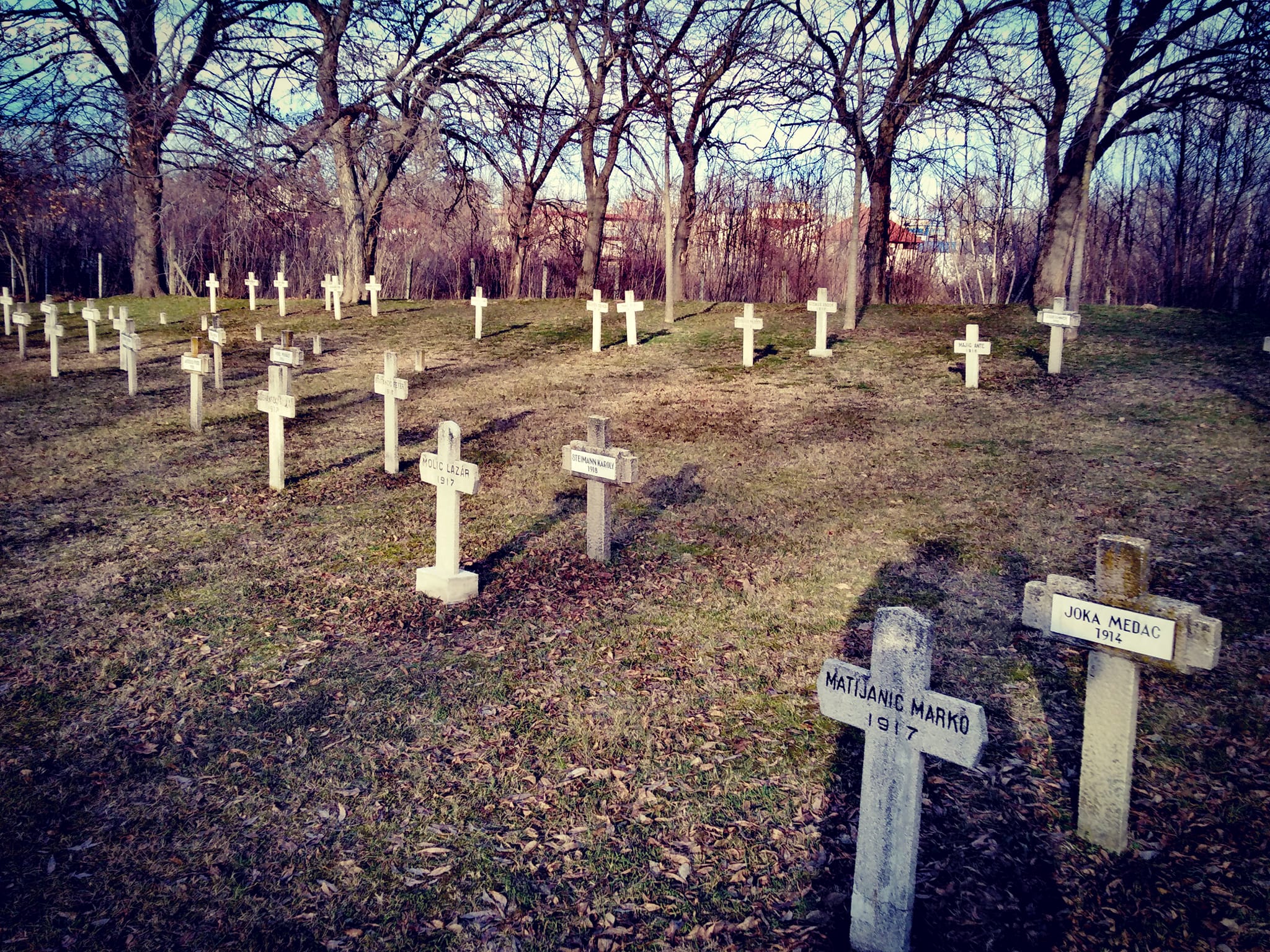 View larger image View larger image